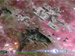 Capship Patrol